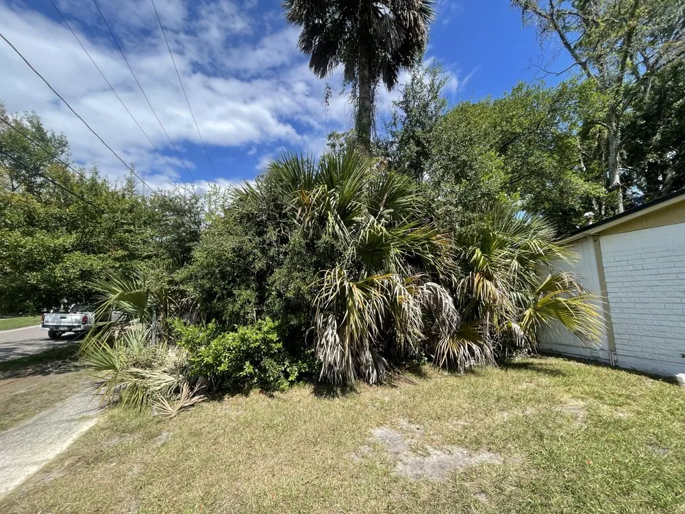 Local lawn mowing service with custom design across Jacksonville, FL - Wilson Towers