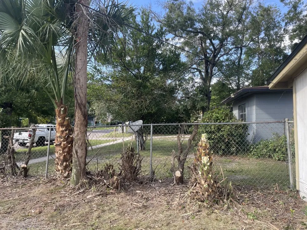 Custom yard cleanup service in Jacksonville, FL by Wilson Towers