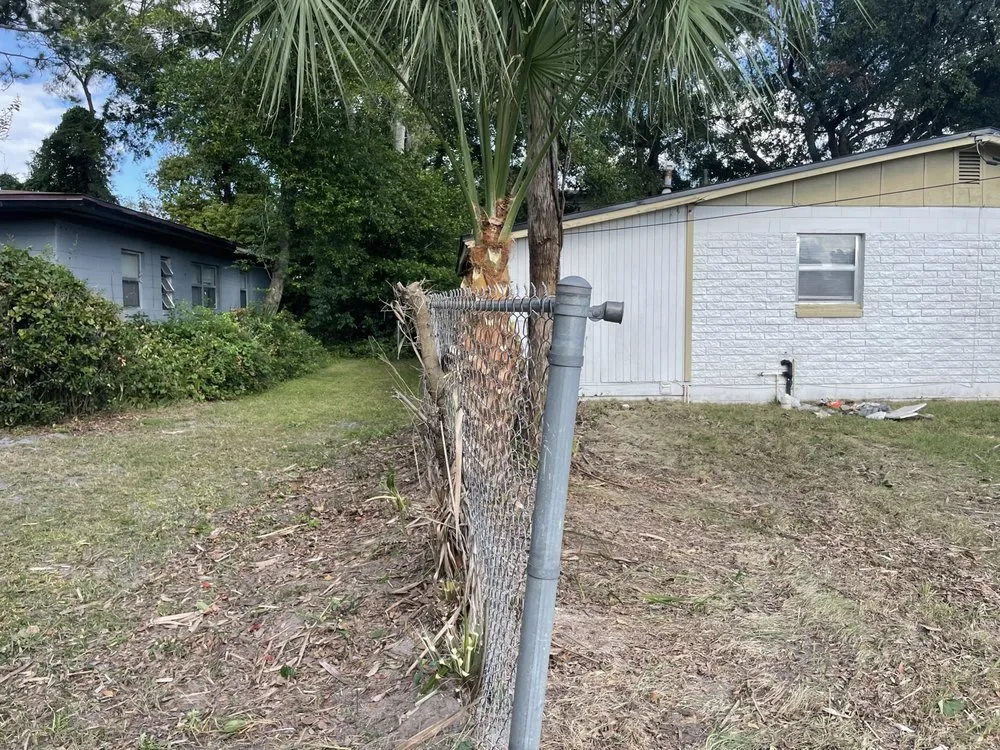 Affordable lawn care service experts serving Jacksonville, FL - Wilson Towers