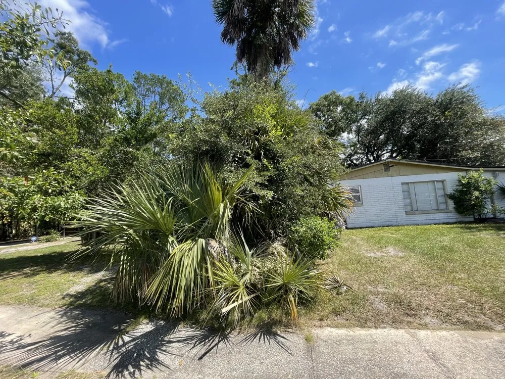 Custom yard cleanup service in Jacksonville, FL - Wilson Towers