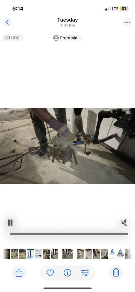 Trusted landscape design experts serving Jacksonville, FL - Wilson Towers