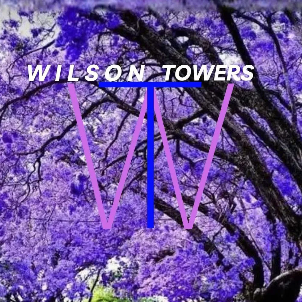 Trusted landscaping services experts serving Jacksonville, FL - Wilson Towers