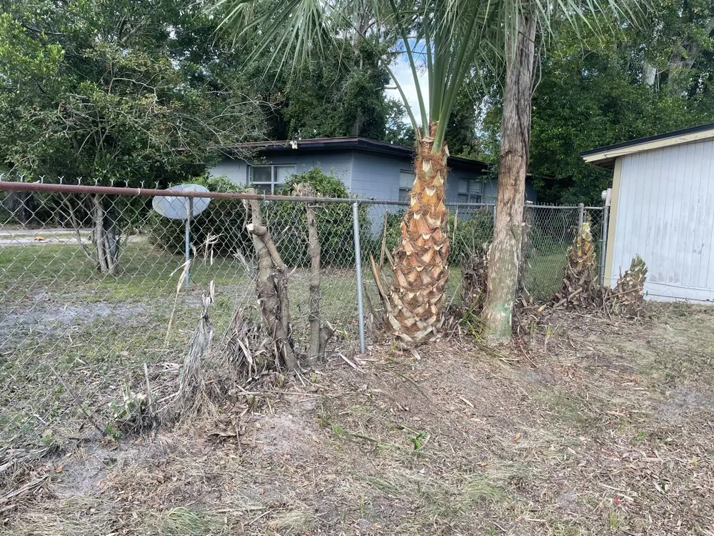 Affordable yard maintenance in Jacksonville, FL - Wilson Towers