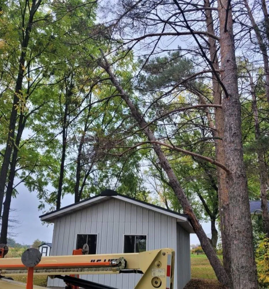 Local landscaping services in Appleton, WI - Wilson Tree & Property Services