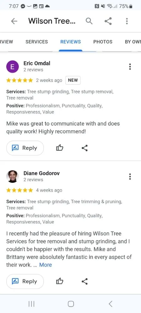 Expert outdoor landscaping in Appleton, WI by Wilson Tree & Property Services