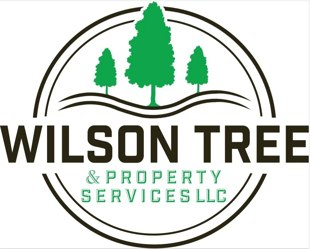Trusted residential landscaping for homes in Appleton, WI by Wilson Tree & Property Services