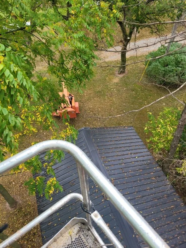 Affordable garden landscaping with custom design in Appleton, WI by Wilson Tree & Property Services