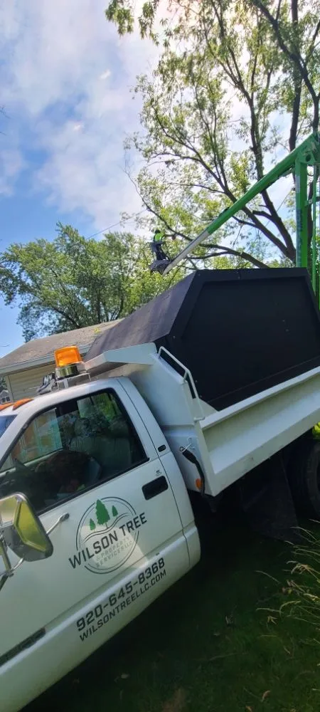 Trusted lawn mowing service in Appleton, WI - Wilson Tree & Property Services