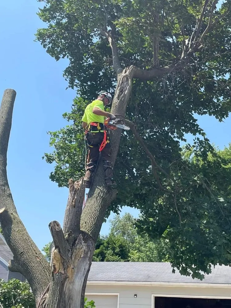 Trusted landscape installation in Appleton, WI - Wilson Tree & Property Services