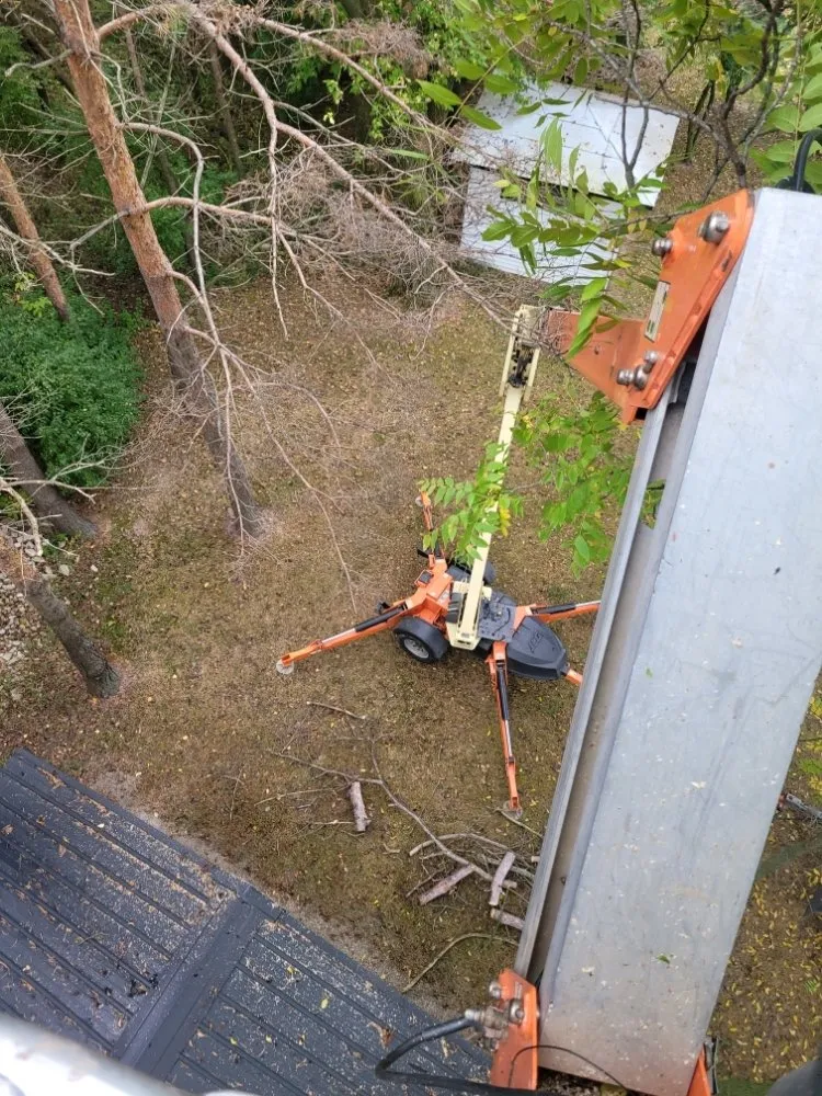 Expert landscape installation in Appleton, WI - Wilson Tree & Property Services