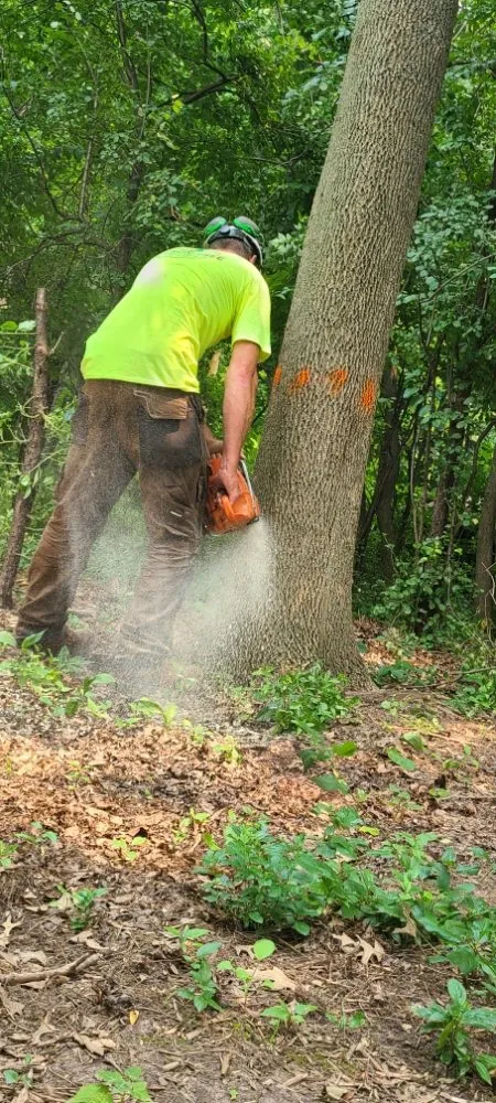 Local garden landscaping in Appleton, WI - Wilson Tree & Property Services