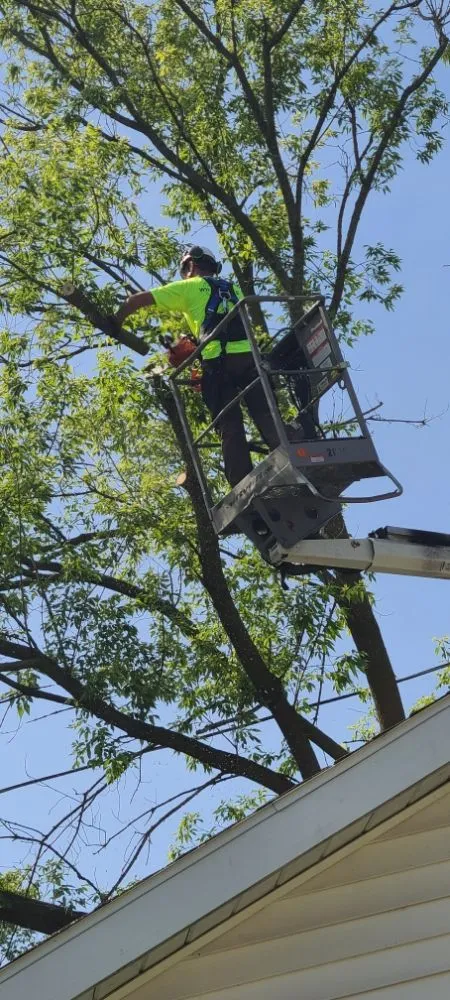 Professional landscape installation experts serving Appleton, WI - Wilson Tree & Property Services