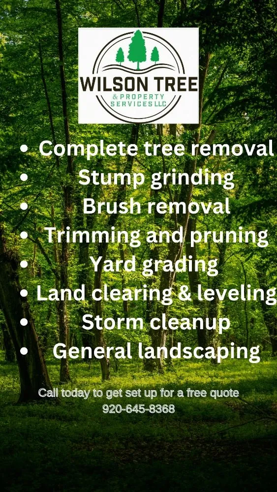 Expert yard cleanup service in Appleton, WI - Wilson Tree & Property Services