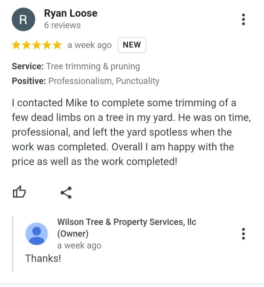 Expert residential landscaping for residential properties across Appleton, WI - Wilson Tree & Property Services