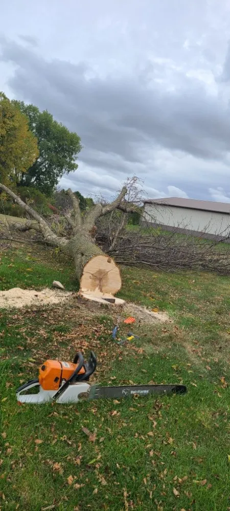 Custom residential landscaping in Appleton, WI - Wilson Tree & Property Services