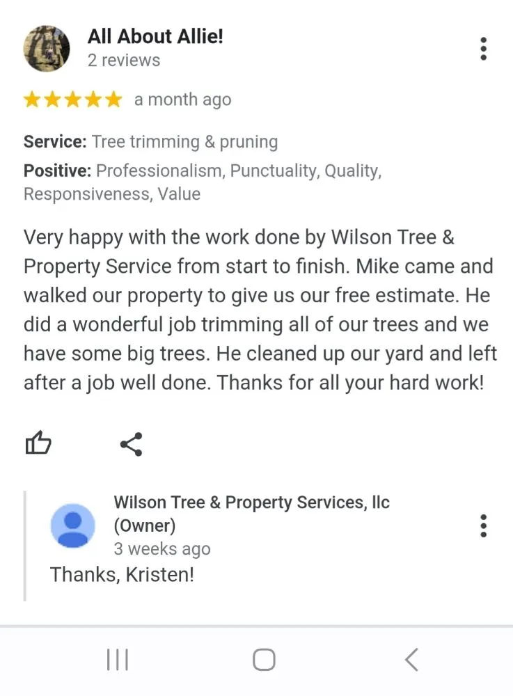 Professional outdoor landscaping experts serving Appleton, WI - Wilson Tree & Property Services