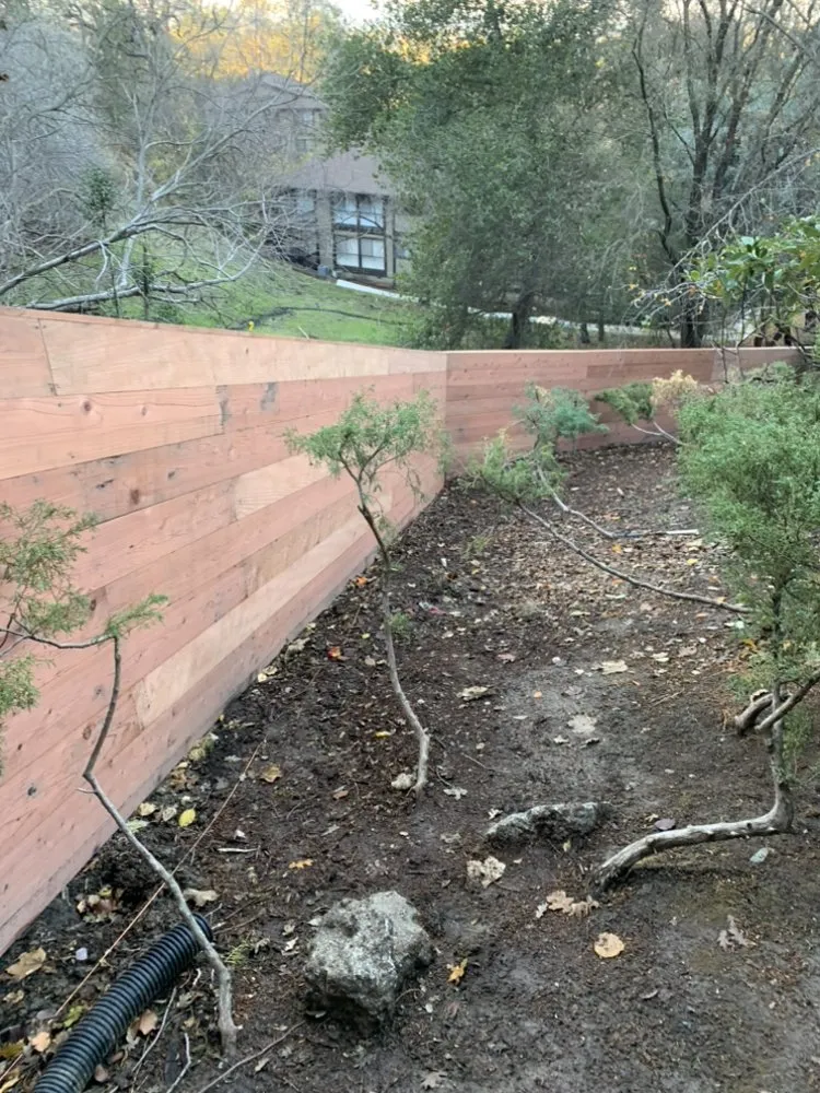 Reliable yard cleanup service in Watsonville, CA - Wilson William Landscape Services