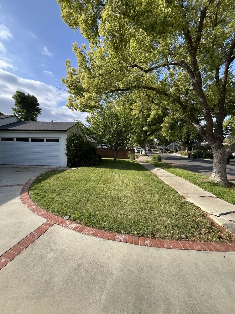 Local lawn care service experts serving West Hills, CA - Wilson Yard Care