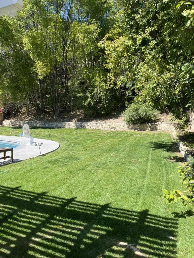 Expert lawn care service near you across West Hills, CA - Wilson Yard Care