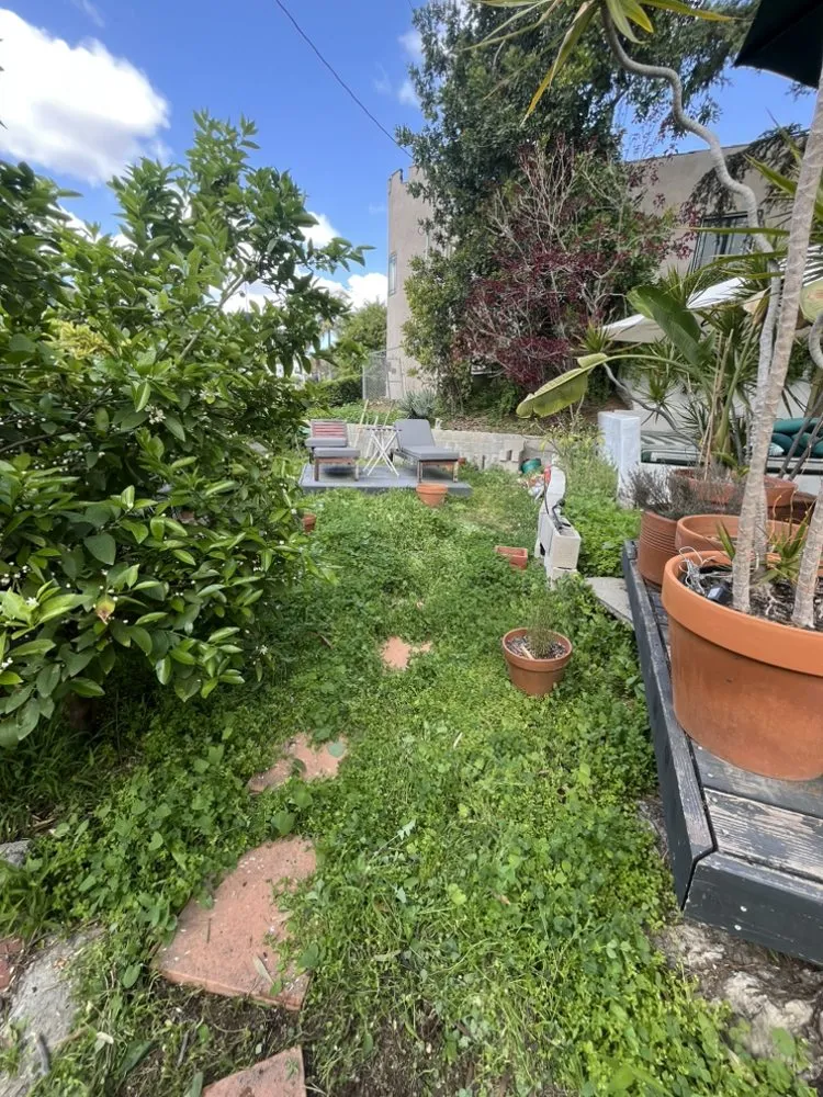 Top-rated landscaping services in West Hills, CA - Wilson Yard Care