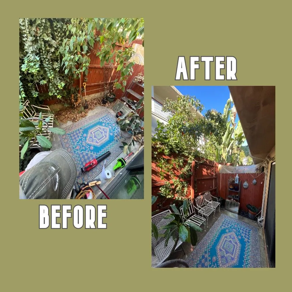 Custom landscape design for residential properties in West Hills, CA by Wilson Yard Care