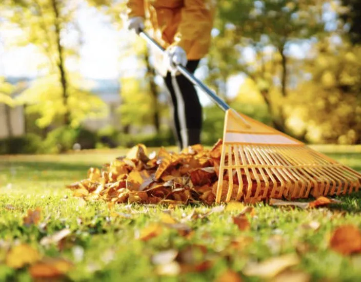Top-rated lawn care service for outdoor upgrades across Detroit, MI - Wilson’s Extra Landscaping