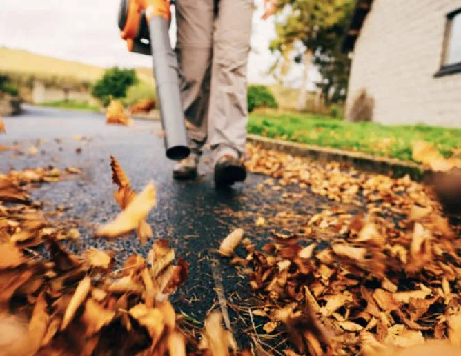 Reliable yard cleanup service in Detroit, MI by Wilson’s Extra Landscaping