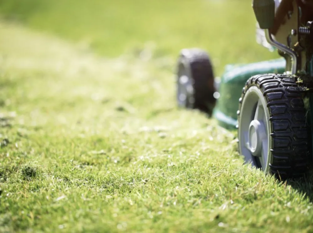 Professional yard maintenance experts serving Detroit, MI - Wilson’s Extra Landscaping