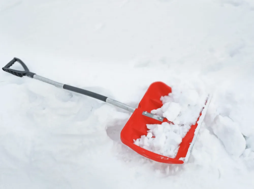 Affordable residential landscaping in Detroit, MI - Wilson’s Extra Landscaping