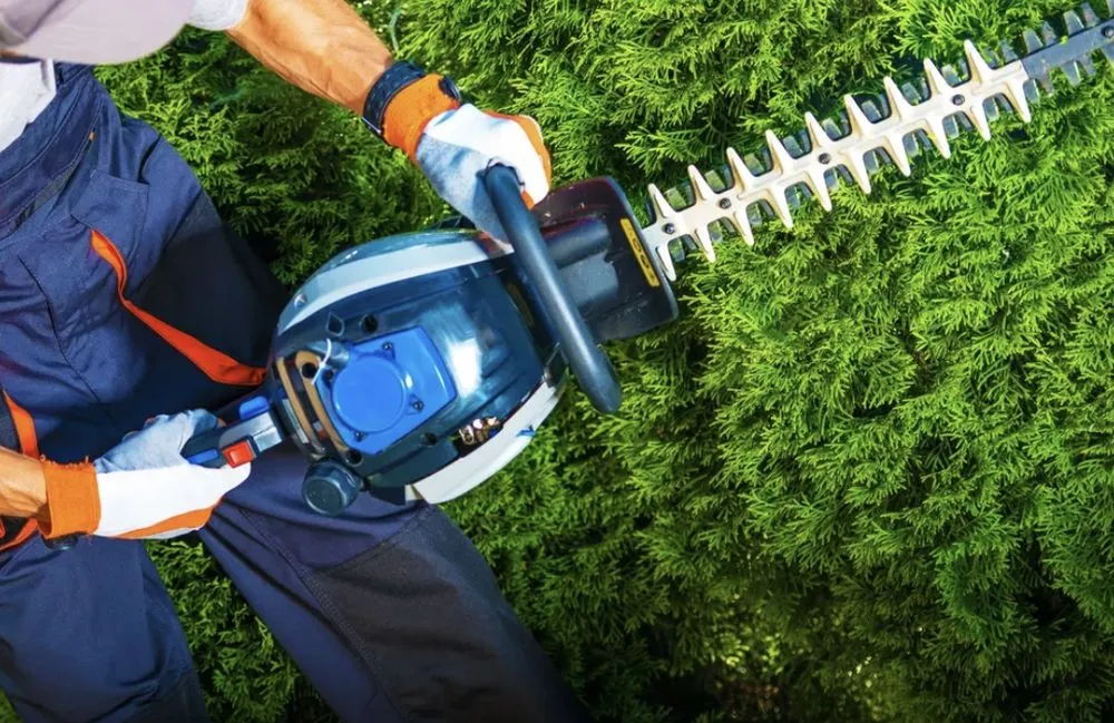 Top-rated lawn care service experts serving Detroit, MI - Wilson’s Extra Landscaping