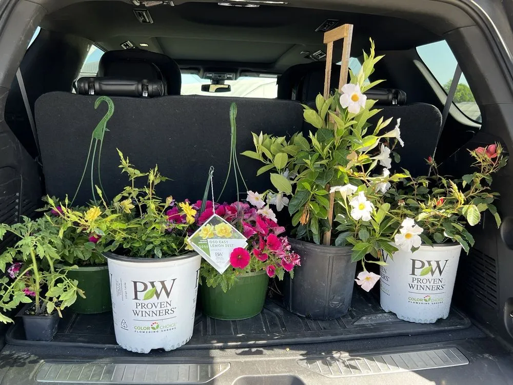 Reliable lawn mowing service for beautiful yards in Pottsboro, TX by Wilson's Farm