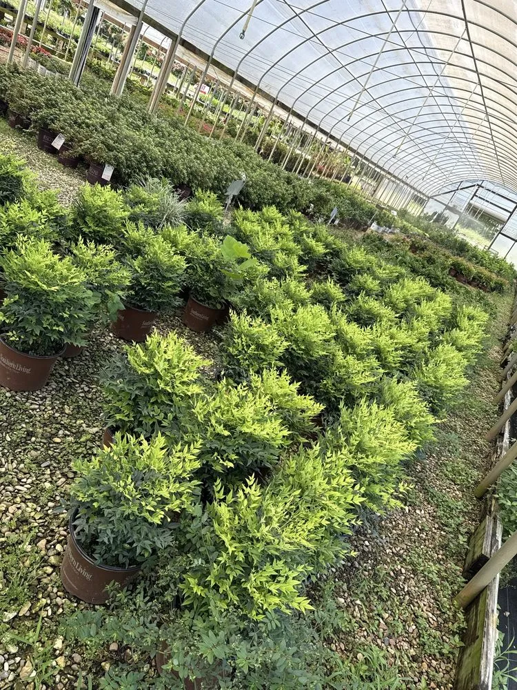 Expert outdoor landscaping for homes across Pottsboro, TX - Wilson's Farm