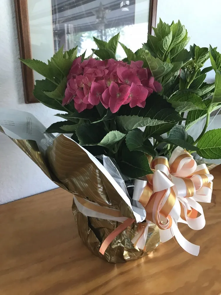 Expert lawn mowing service experts serving Pottsboro, TX - Wilson's Farm