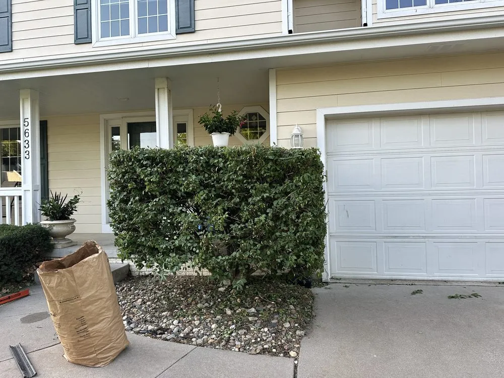 Affordable yard cleanup service in Johnston, IA by Wilson’s Hedge & Bush Trimming