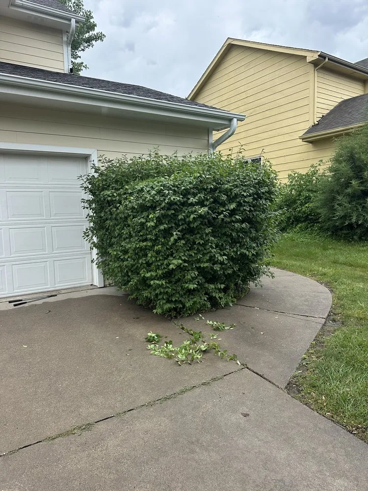 Reliable yard cleanup service for homes across Johnston, IA - Wilson’s Hedge & Bush Trimming