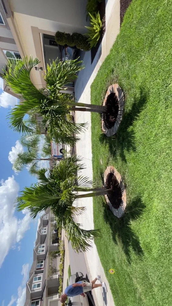 Trusted landscaping services experts serving Palma Sola, FL - Wilson's Jack Of All Trades