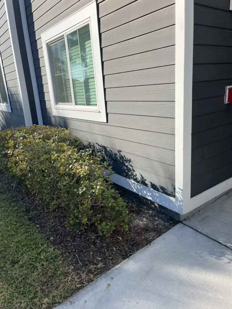 Professional yard maintenance in Palma Sola, FL - Wilson's Jack Of All Trades
