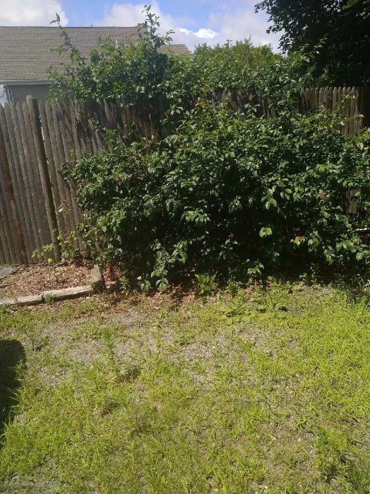 Custom yard maintenance experts serving Brockton, MA - Wilson’s Landscape Services