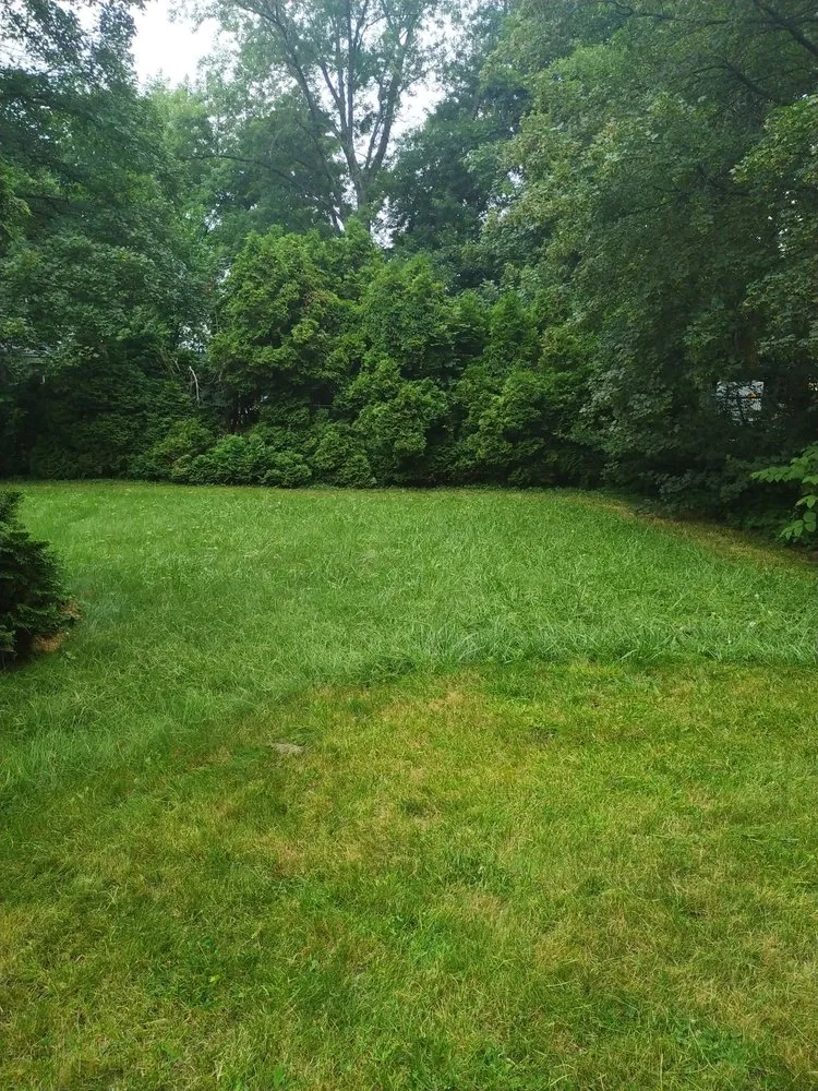 Top-rated landscape design near you across Brockton, MA - Wilson’s Landscape Services