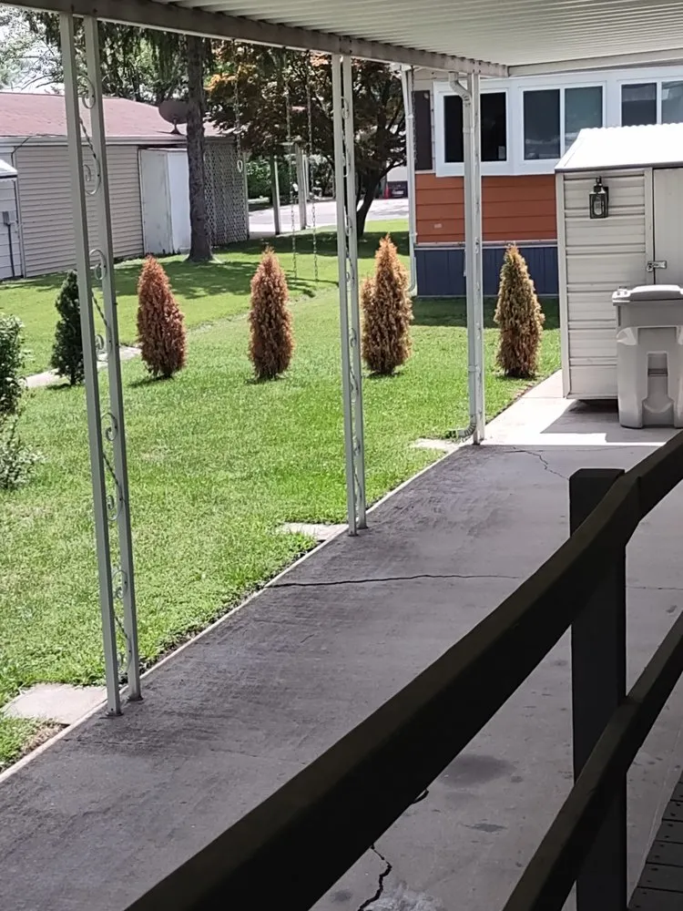 Top-rated outdoor landscaping for beautiful yards across Belleville, IL - Wilson's Landscaping & Lawn Service