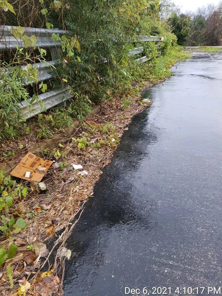 Local yard cleanup service experts serving Montgomery, AL - Wilson's Landscaping and Lawn Care