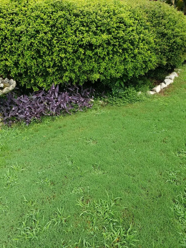 Local lawn mowing service with custom design in Montgomery, AL by Wilson's Landscaping and Lawn Care