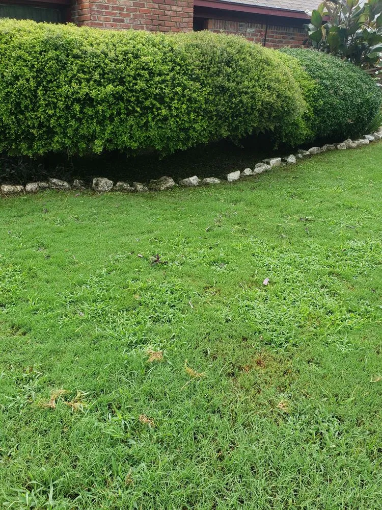 Reliable yard maintenance experts serving Montgomery, AL - Wilson's Landscaping and Lawn Care