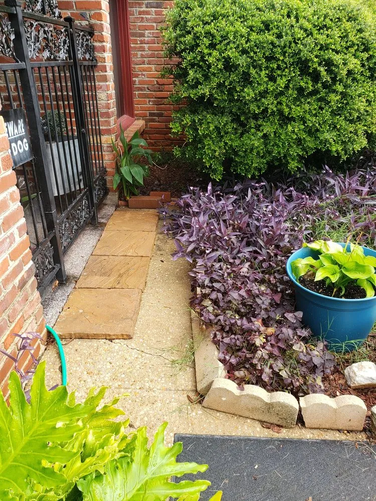 Local lawn mowing service for year-round maintenance across Montgomery, AL - Wilson's Landscaping and Lawn Care