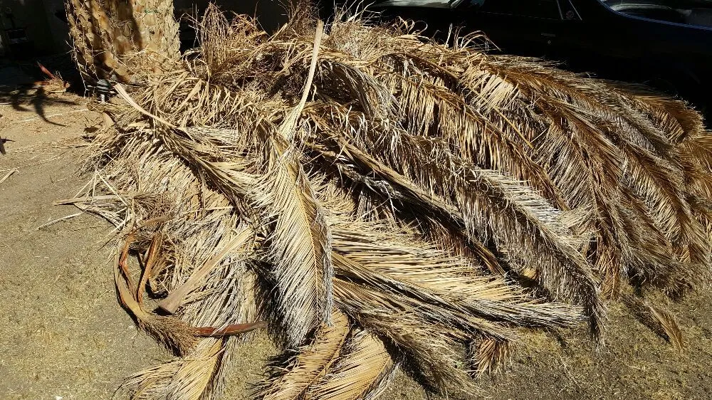 Custom landscape installation in Lancaster, CA - Wilson's Landscaping and Maintenance