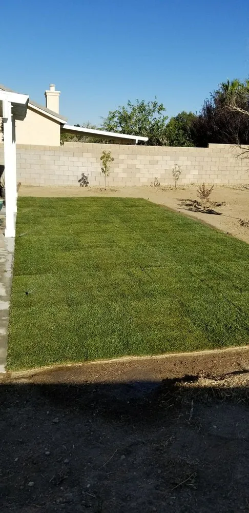 Professional residential landscaping for year-round maintenance across Lancaster, CA - Wilson's Landscaping and Maintenance