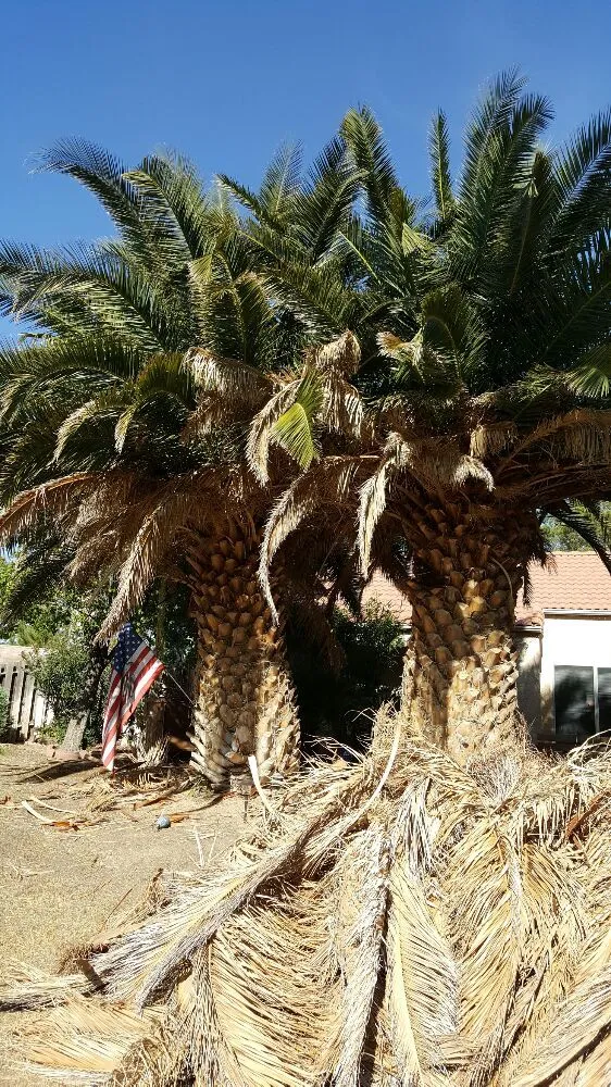 Reliable outdoor landscaping with custom design across Lancaster, CA - Wilson's Landscaping and Maintenance