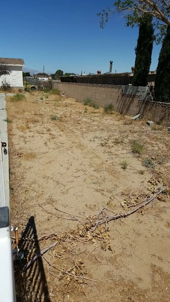 Professional lawn care service for residential properties in Lancaster, CA by Wilson's Landscaping and Maintenance