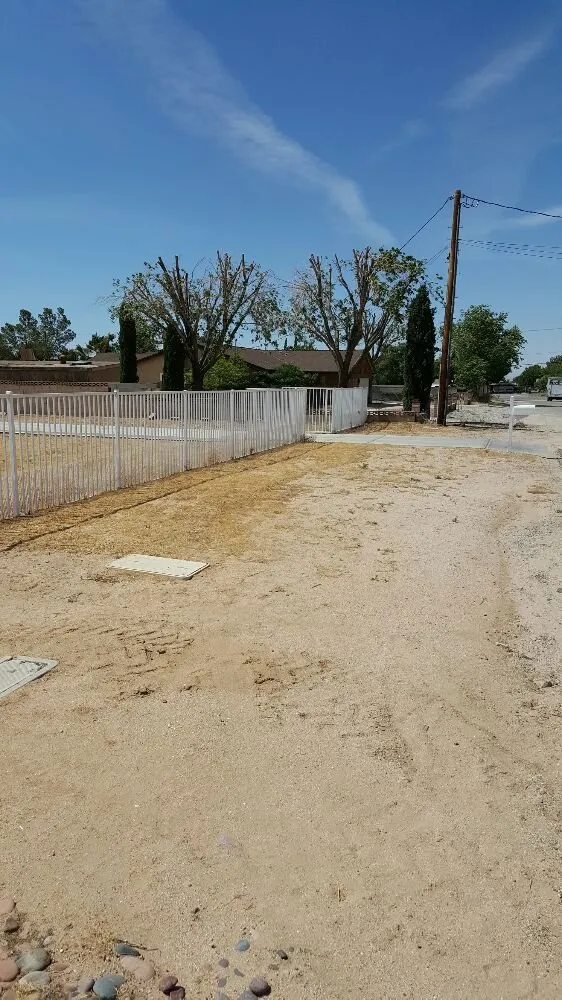 Local yard cleanup service experts serving Lancaster, CA - Wilson's Landscaping and Maintenance