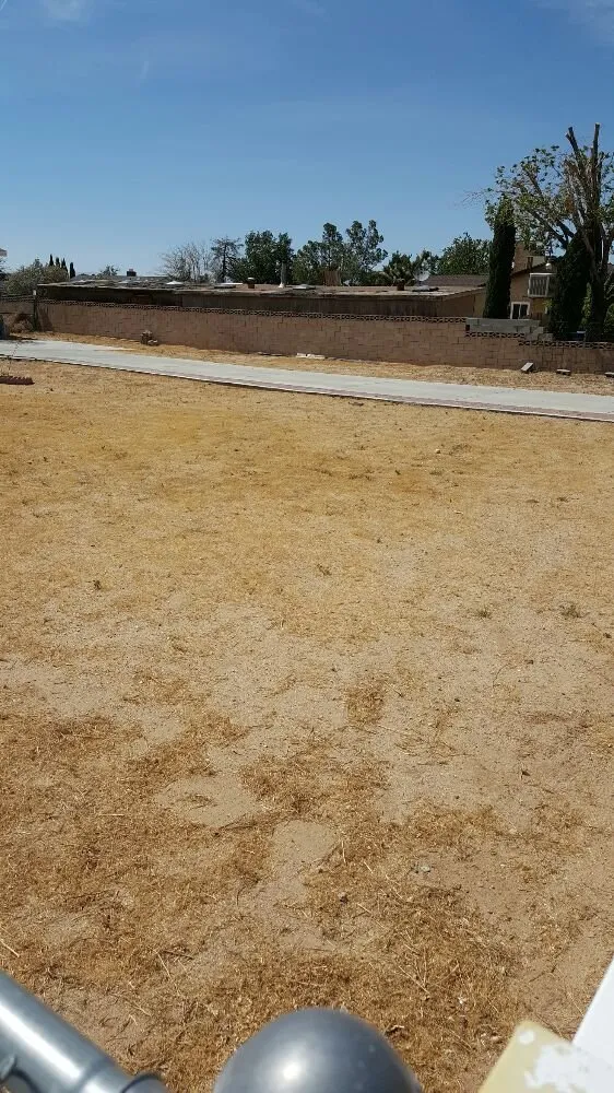 Trusted yard cleanup service near you across Lancaster, CA - Wilson's Landscaping and Maintenance